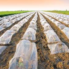 تصویر 2 از نایلون مالچ کشاورزی تخصصی برای پوشش خاک و حفظ رطوبت